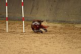 E.O.selectie wedstrijd zaterdag