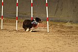 E.O.selectie wedstrijd zaterdag