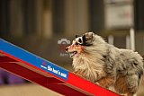E.O.selectie wedstrijd zaterdag