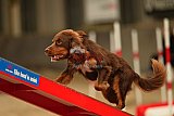 E.O.selectie wedstrijd zaterdag
