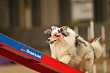 E.O.selectie wedstrijd zaterdag