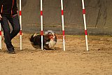 E.O.selectie wedstrijd zaterdag
