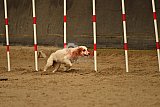 E.O.selectie wedstrijd zaterdag