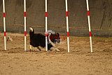 E.O.selectie wedstrijd zaterdag