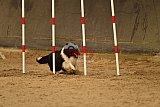 E.O.selectie wedstrijd zaterdag