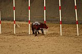 E.O.selectie wedstrijd zaterdag