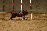 E.O.selectie wedstrijd zaterdag