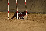 E.O.selectie wedstrijd zaterdag