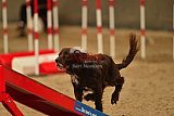 E.O.selectie wedstrijd zaterdag