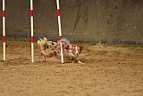 E.O.selectie wedstrijd zaterdag