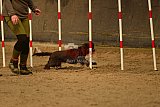 E.O.selectie wedstrijd zaterdag