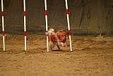 E.O.selectie wedstrijd zaterdag
