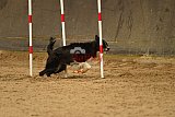 E.O.selectie wedstrijd zaterdag