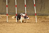 E.O.selectie wedstrijd zaterdag