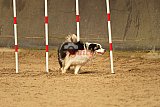E.O.selectie wedstrijd zaterdag
