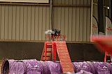 E.O.selectie wedstrijd zaterdag