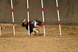 E.O.selectie wedstrijd zaterdag