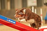 E.O.selectie wedstrijd zaterdag