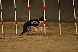 E.O.selectie wedstrijd zaterdag