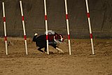 E.O.selectie wedstrijd zaterdag