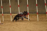 E.O.selectie wedstrijd zaterdag