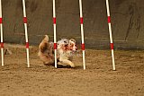 E.O.selectie wedstrijd zaterdag