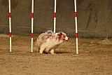 E.O.selectie wedstrijd zaterdag