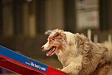 E.O.selectie wedstrijd zaterdag