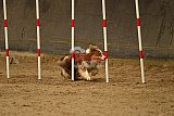 E.O.selectie wedstrijd zaterdag