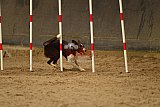 E.O.selectie wedstrijd zaterdag