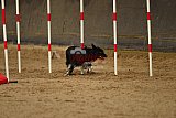 E.O.selectie wedstrijd zaterdag
