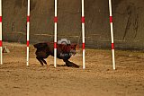 E.O.selectie wedstrijd zaterdag