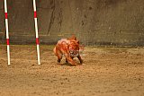 E.O.selectie wedstrijd zaterdag