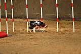E.O.selectie wedstrijd zaterdag