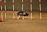 E.O.selectie wedstrijd zaterdag
