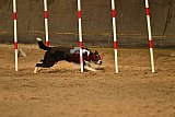 E.O.selectie wedstrijd zaterdag