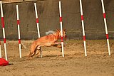 E.O.selectie wedstrijd zaterdag