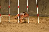 E.O.selectie wedstrijd zaterdag