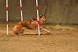 E.O.selectie wedstrijd zaterdag