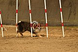 E.O.selectie wedstrijd zaterdag