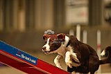 E.O.selectie wedstrijd zaterdag