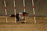 E.O.selectie wedstrijd zaterdag