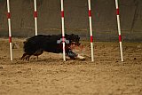 E.O.selectie wedstrijd zaterdag