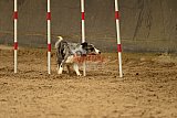 E.O.selectie wedstrijd zaterdag