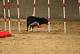 E.O.selectie wedstrijd zaterdag