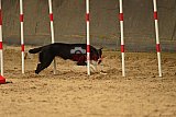 E.O.selectie wedstrijd zaterdag