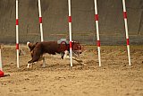 E.O.selectie wedstrijd zaterdag
