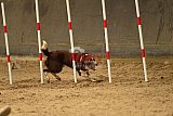 E.O.selectie wedstrijd zaterdag