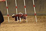 E.O.selectie wedstrijd zaterdag
