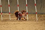 E.O.selectie wedstrijd zaterdag